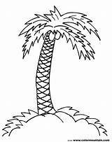 Palm Tree Coloring Pages Trees Coconut Branch Drawing Line Printable Clipart Print Simple Draw Jungle Leaves Pencil Color Drawings Branches sketch template
