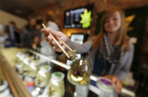 cannabis legalisierung in den usa kiffer sollen für