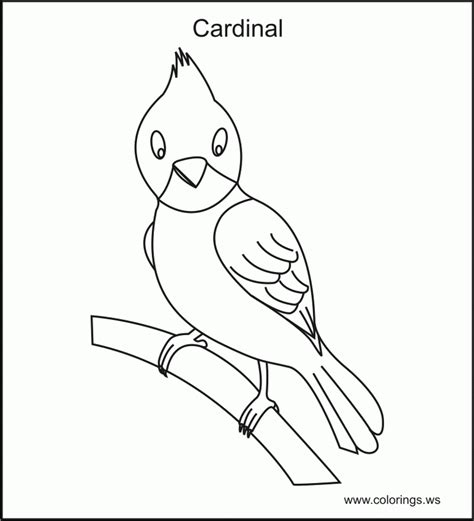 cardinal bird images  coloring home