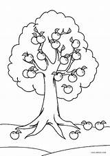 Tree Coloring Pages Apple Printable Kids Sheets Worksheet Kindergarten Cool2bkids Worksheets Template Drawing sketch template