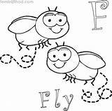 Coloring Pages Fly Printable Sheets Expression Facial Getcolorings Animals Choose Board Colori sketch template