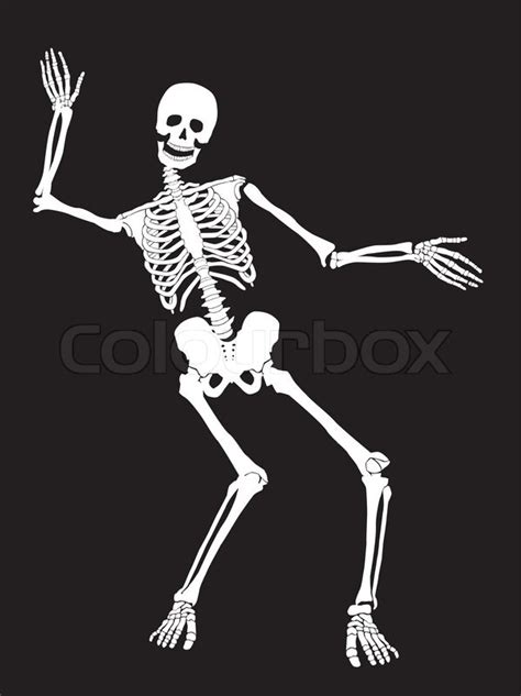 Funny Vector Skeleton Isolated Over Stock Vector