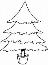 Kerstbomen Kerstboom Versieren Kerst Kerstmis Maak Leukvoorkids Printen Persoonlijke Zo Leuk Kleurplaatjes Votes sketch template