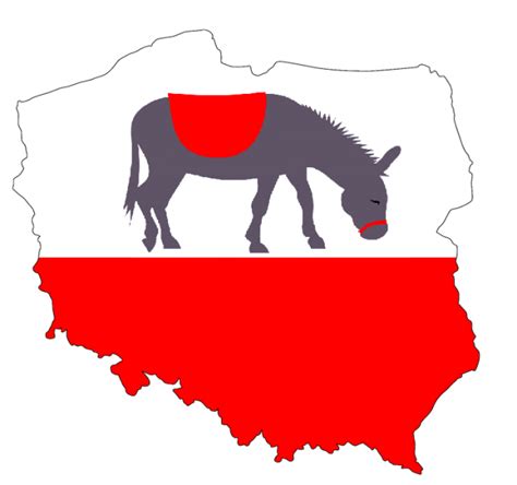 polska jak ujezdzany przez wszystkich osiol polityka zagraniczna