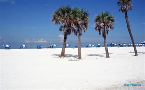 clearwater florida  phone pc  wallpapers wallpaper getwallsio