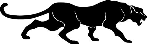 Vector Panther Black Draw Cat Art Clip Drawing Stock