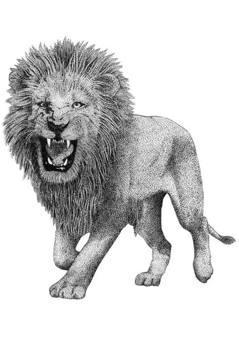 coloring page lion  printable coloring pages img