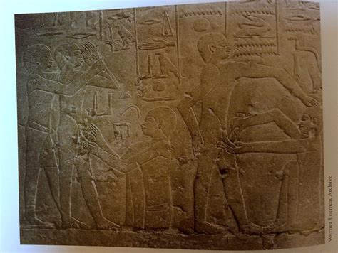 This Relief In The Egyptian Tomb Of Ankhmahor Depicts A Priest