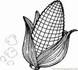 Corn Coloring Pages Thanksgiving Printable Cob Color Drawing Ear Holidays Getdrawings Print Comments Coloringpages101 Field Getcolorings Pw sketch template
