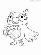 Crossing Horizons Owl sketch template
