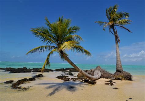palmen foto bild landschaft meer strand fotoreisen bilder auf