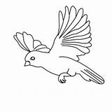 Flying Bird Coloring Drawing Pages Parrot Simple Birds Amazing Sparrow Cartoon Color Kids Print Flight Sketch Cute Floating Drawings Printable sketch template