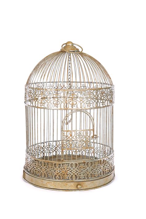 bird cage  maggies