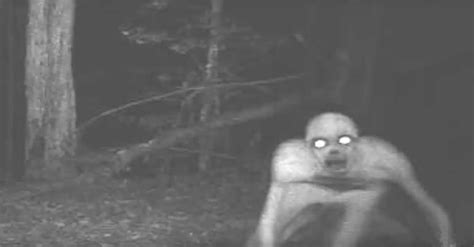 People with hidden cams