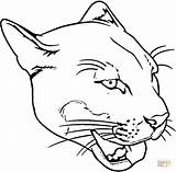 Puma Coloring Face Panther Pages Drawing Panthers Logo Carolina Getdrawings Animal Cougar Lion Drawings Mountain 02kb Printable Categories sketch template