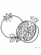 Pomegranate Coloring Pages Fruit Printable Gaddynippercrayons Preschool sketch template
