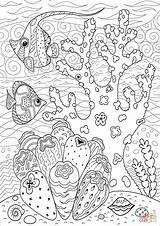 Reef Coral Coloring Pages Printable Enjoying Fish Butterflyfish Reefs Kids Drawing Underwater Easy Books Animals Print Under Choose Board sketch template