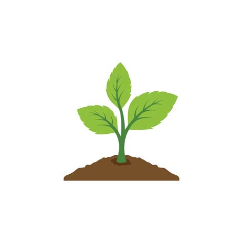 plant icon vector leaf growing design seed  seeding vector icon