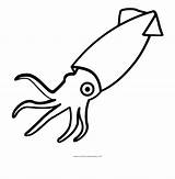 Squid Webstockreview Kindpng sketch template