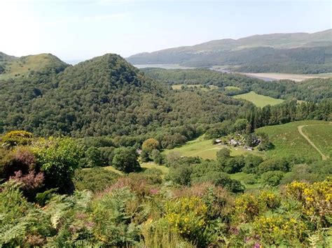 Wales Celtic Rainforests In £6 5m Restoration Project