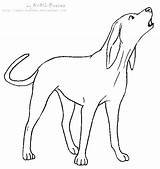 Coloring Pages Blue Dog Drawing Hound Coon Tick Lineart Getdrawings Printable sketch template