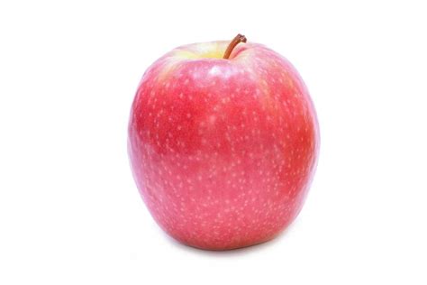 guide   apple varieties     good