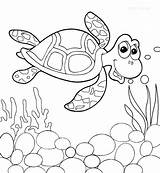 Turtle Coloring Pages Sea Baby Cute Getcolorings Color sketch template
