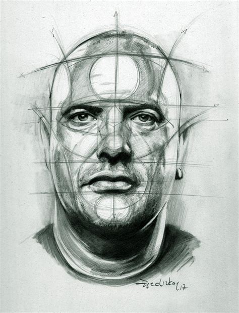 male face drawing drawing  human head drawing heads figure
