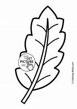 Leaf Coloring Kids Printable Nature Some Pages 4kids sketch template