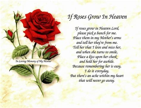 in memory of mother if roses grow in heaven for loss of mom