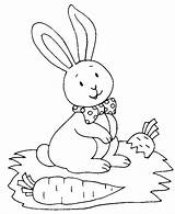 Colorat Iepurasi Ferme Coloring Animale Lapin Coniglio Conigli Planse P29 Gratuit Kaninchen Colorare Disegni Desene Primiiani Bambini Copii Pentru sketch template