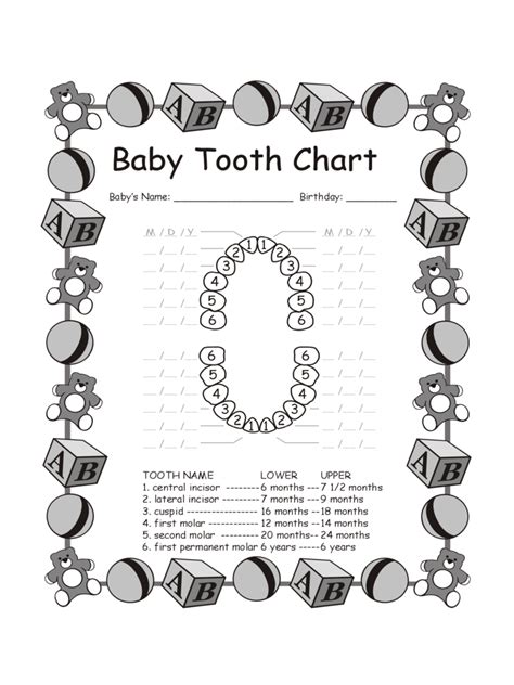 baby teeth chart fillable printable  forms handypdf