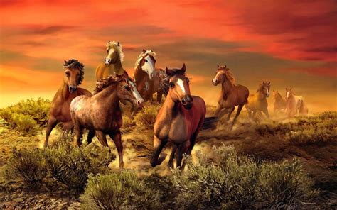 wild horses field bush fire red sky wallpaper hd wallpaperscom