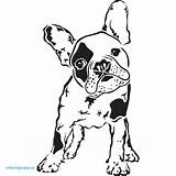 Bulldog French Coloring Pages Dog Terrier Bull Silhouette Drawing Boston Easy Yorkshire Para Frances Stencils Designs Stencil Clipart Bulldogs Dibujo sketch template