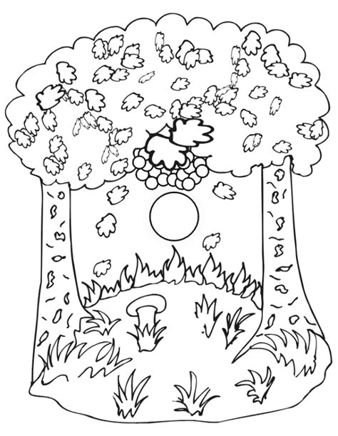 coloring pages  fall coloring pages collection