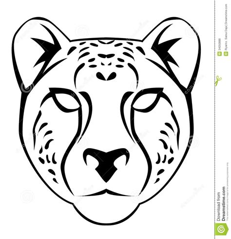 cheetah drawing step  step  getdrawings