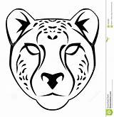 Cheetah Face Drawing Easy Draw Step Coloring Pages Drawn Illustration Desain Illustrator Eps Stock Printable Getdrawings Leopard Vector Royalty Lion sketch template