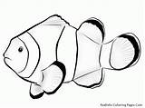 Fish Coloring Pages Nemo Clown Tropical Printable Drawing Realistic Outline Ocean Clownfish Kids Color Sea Exotic Flying Clipart Parrot Patterns sketch template