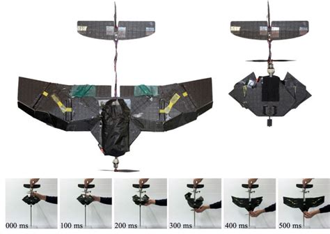 drone  insect inspired folding wings uas vision