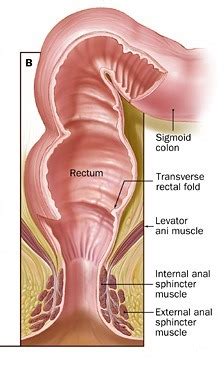 How to clean your rectum for anal sex