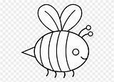 Bee Bumble Clip Coloring Clipart Outline Pages Tiger Saber Tooth Transparent Pngkey sketch template