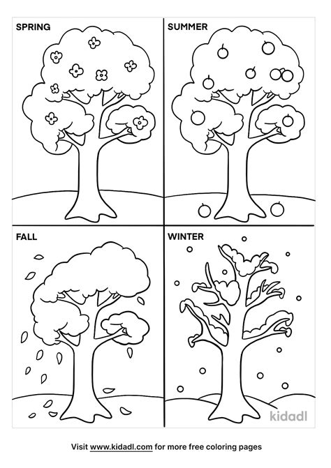 seasons   tree coloring page coloring page printables