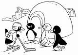 Pingu Coloring Hockey Asking Join Been Team sketch template