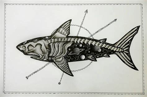 skeleton shark  cosmicdark  deviantart animal skull tattoos dark