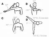 Elbow Angles Flexion Diagram Template sketch template
