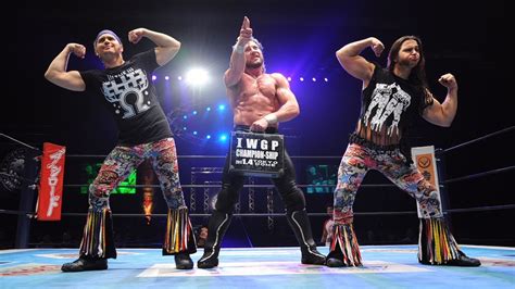 japan pro wrestling      wrestle kingdom
