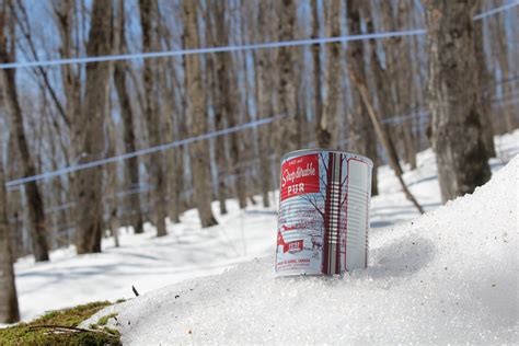 quebec maple syrup     strategy