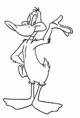 Daffy Duck Coloring Drawing sketch template