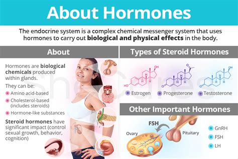 about hormones shecares