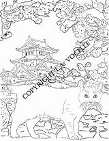 Coloring Cat Adult Pages Book Kitty sketch template
